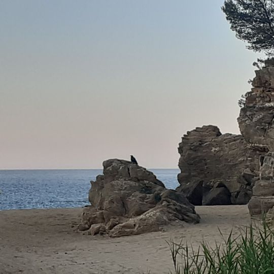 Bonporteau