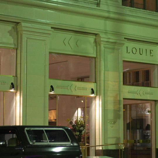 Bottega Louie
