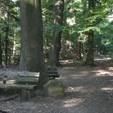 Ritterstein 206 "Katzeneiche"