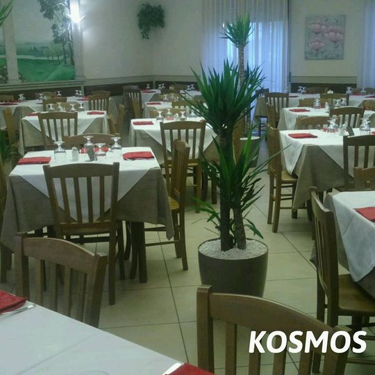 Kosmos