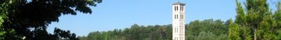 Panoramic View 0