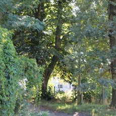 Park pałacowy z alejami dojazdowymi