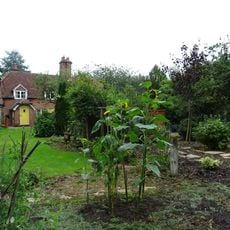 3 Candovers  Long Candovers