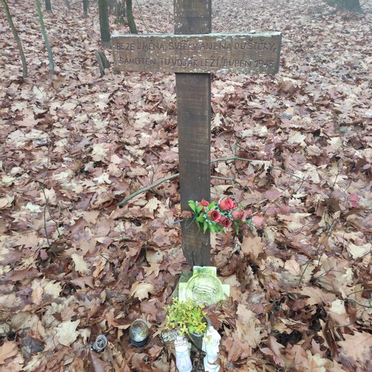 Cross to unknown Soldier in Bobrovníky