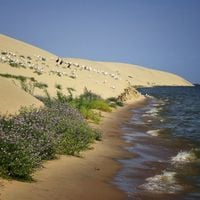 Kaliningrad Oblastı