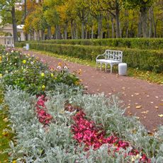 Металлические скамьи (шесть) (Павловск)