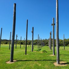 Pole Forest