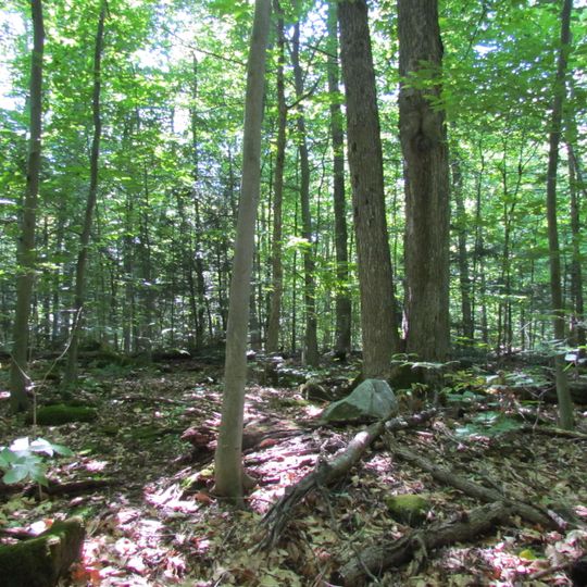 Réserve écologique du Boisé-des-Muir