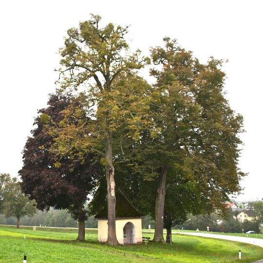 Baumgruppe neben der Kapelle in St. Peter