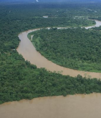 Aerial View 2