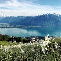 Montreux