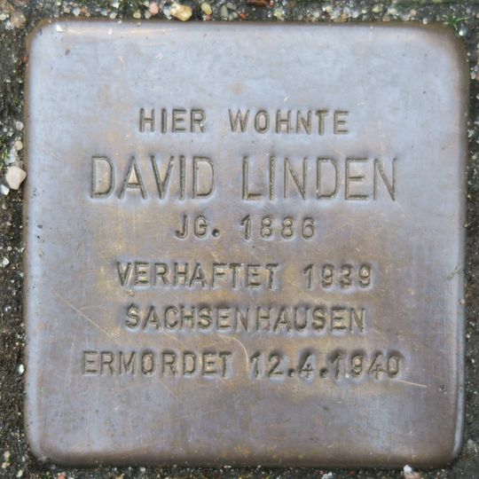 Stolperstein en memoria de David Linden