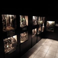 Acuario y museo de historia natural de Cracovia