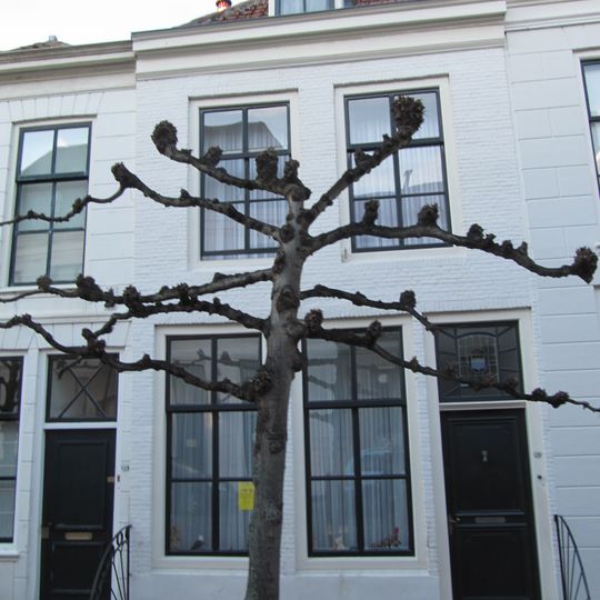 Huis met geverfde lijstgevel