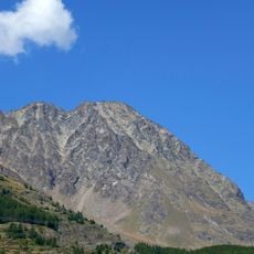 Monte Grauson