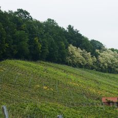 Geologischer Aufschluss und Steppenheide über den Weinbergen