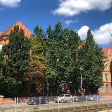 IGS Willy Brandt Magdeburg