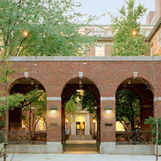 New York University School of Law