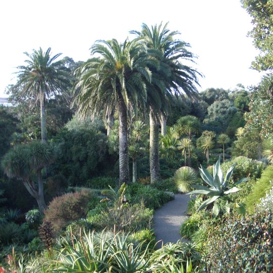 Tresco Abbey Gardens
