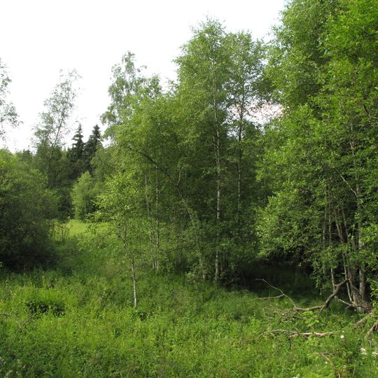 Niva Horského potoka