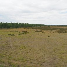 Gohrischheide und Elbniederterrasse Zeithain