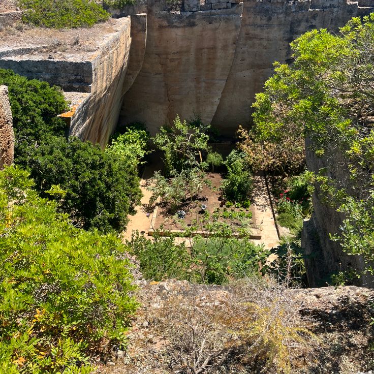 Lithica