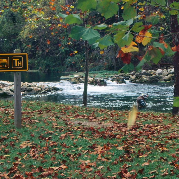 Park Stanowy Bennett Spring