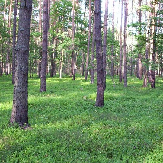 Bolimów Landscape Park