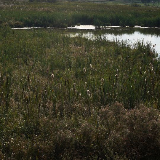 Іванівський гідрологічний заказник