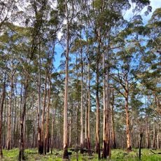 Mount Frankland South National Park