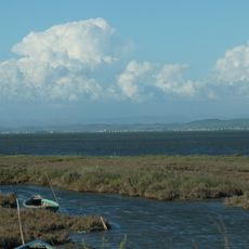 Karavasta Lagoon ecosystem