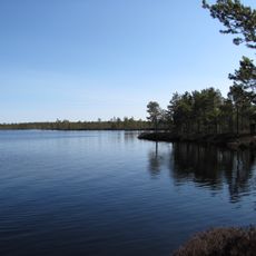 Kauhalammi
