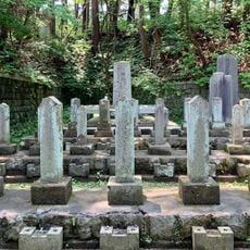 Graveyard of the new government army