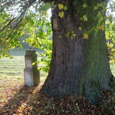 Obrázek na památné lípě západně od Podruhlí