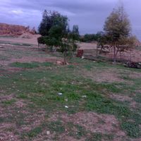 Fquih Ben Salah Province