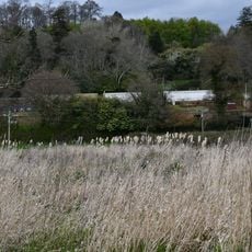 Kitchen Garden Walls Including Glasshouses Wnw Of Powderham Castle