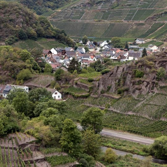 Weinbergterrassen bei Mayschoss