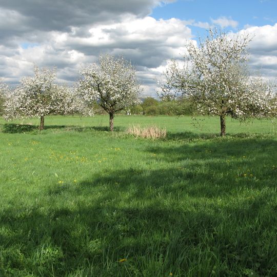 Freiburger Rieselfeld