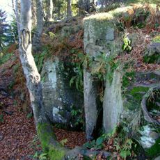 Nature reserve Śnieżnica
