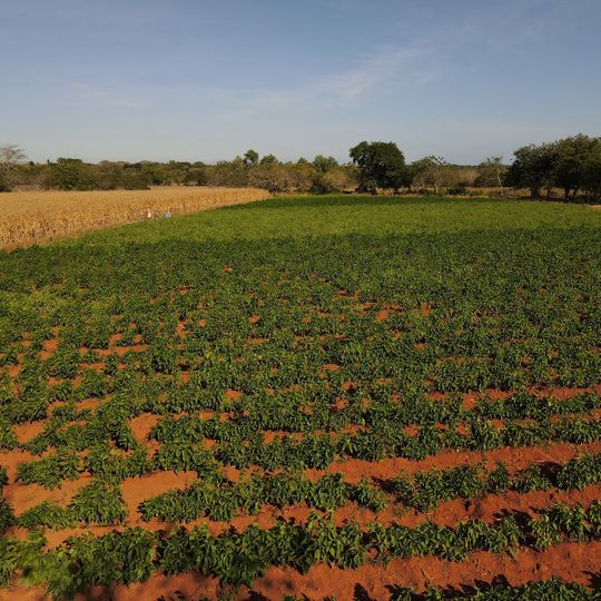 Santa Ana Arriba