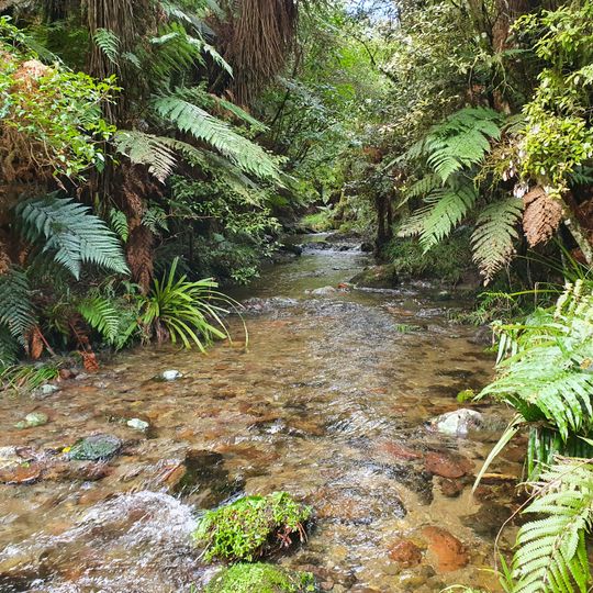 Otangane Stream