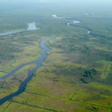 Savannah National Wildlife Refuge