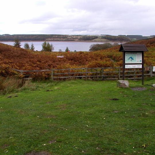 Pow Hill Bog