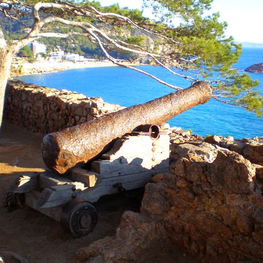 Punto di vista panoramico