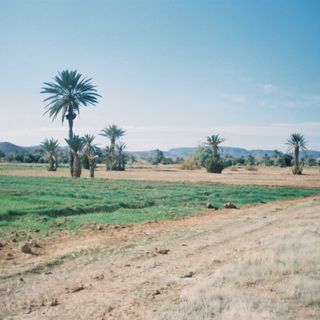 Oasis du Sud Marocain Biosphere Reserve