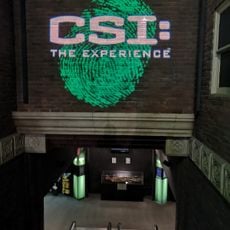 CSI: The Experience