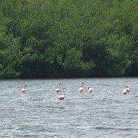 provincia di Cienfuegos