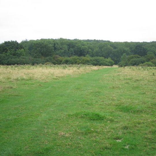Kings Wood and Glebe Meadows, Houghton Conquest