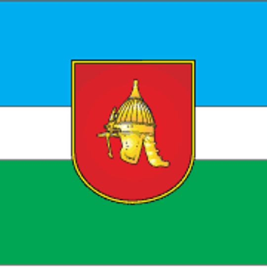 Distretto di Olevs'k