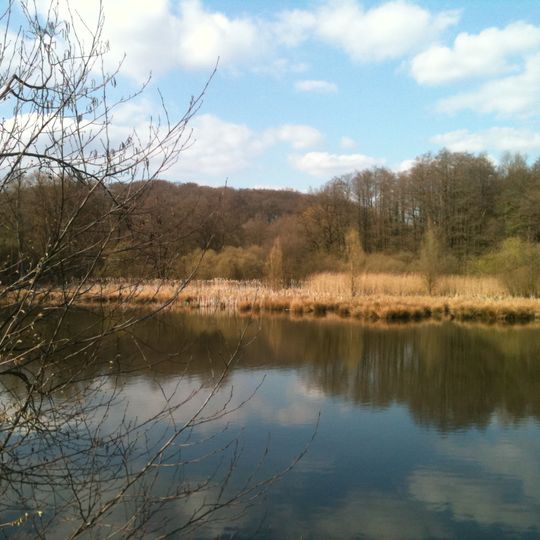 Aprather Mühlenteich